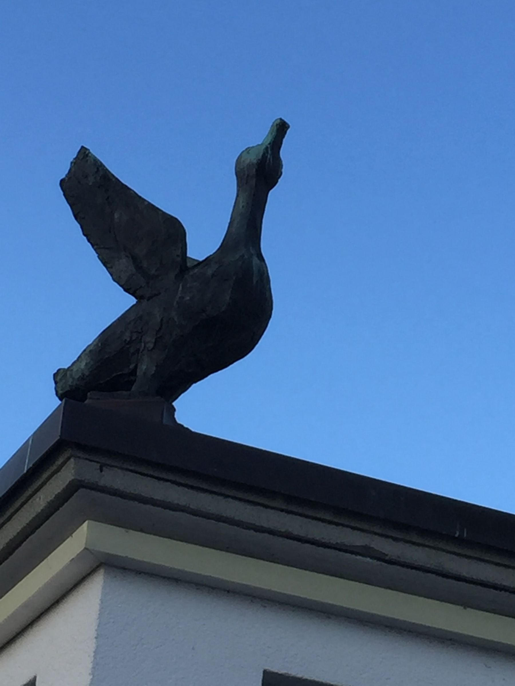 Gans – More views 1