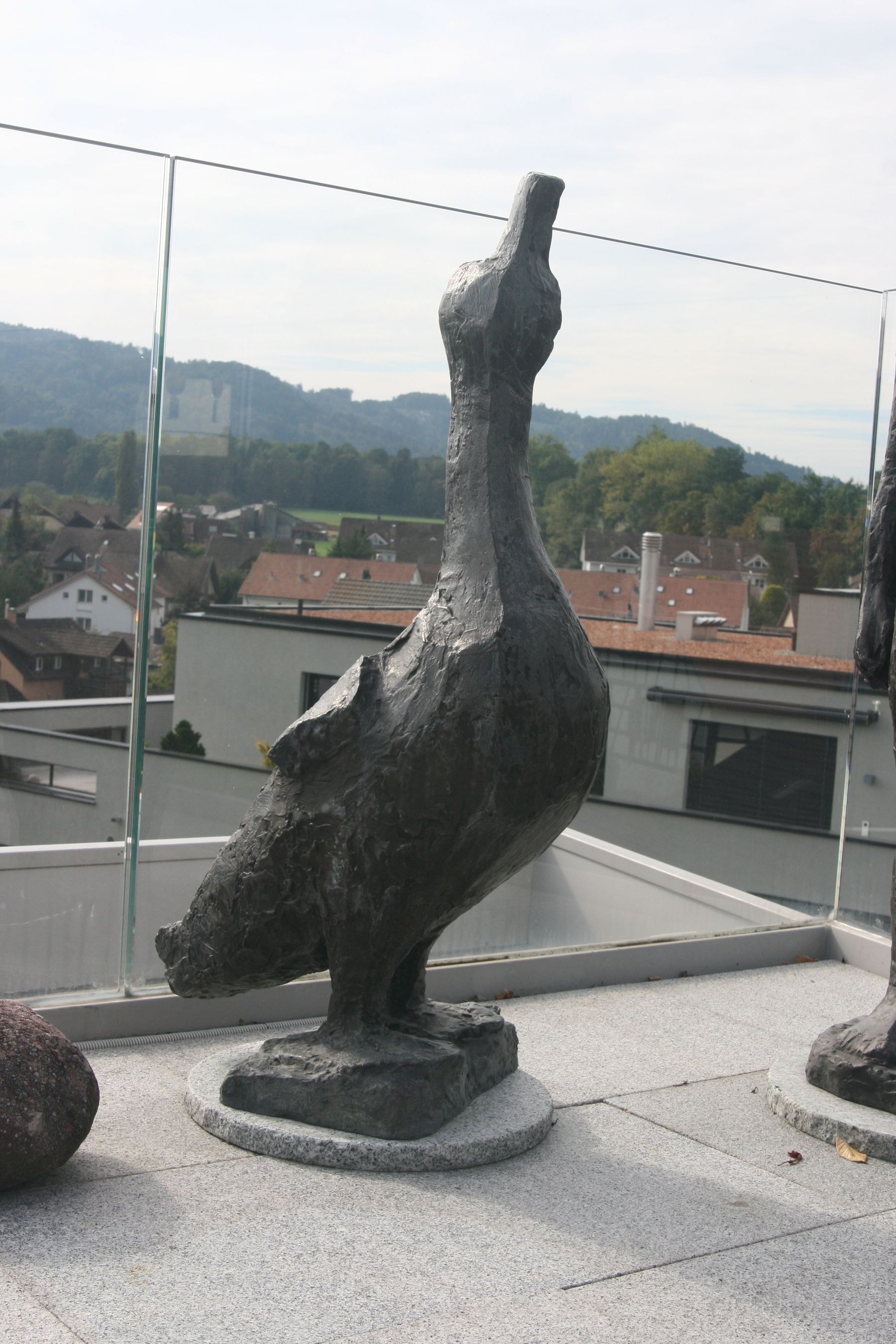 Gans – More views 2