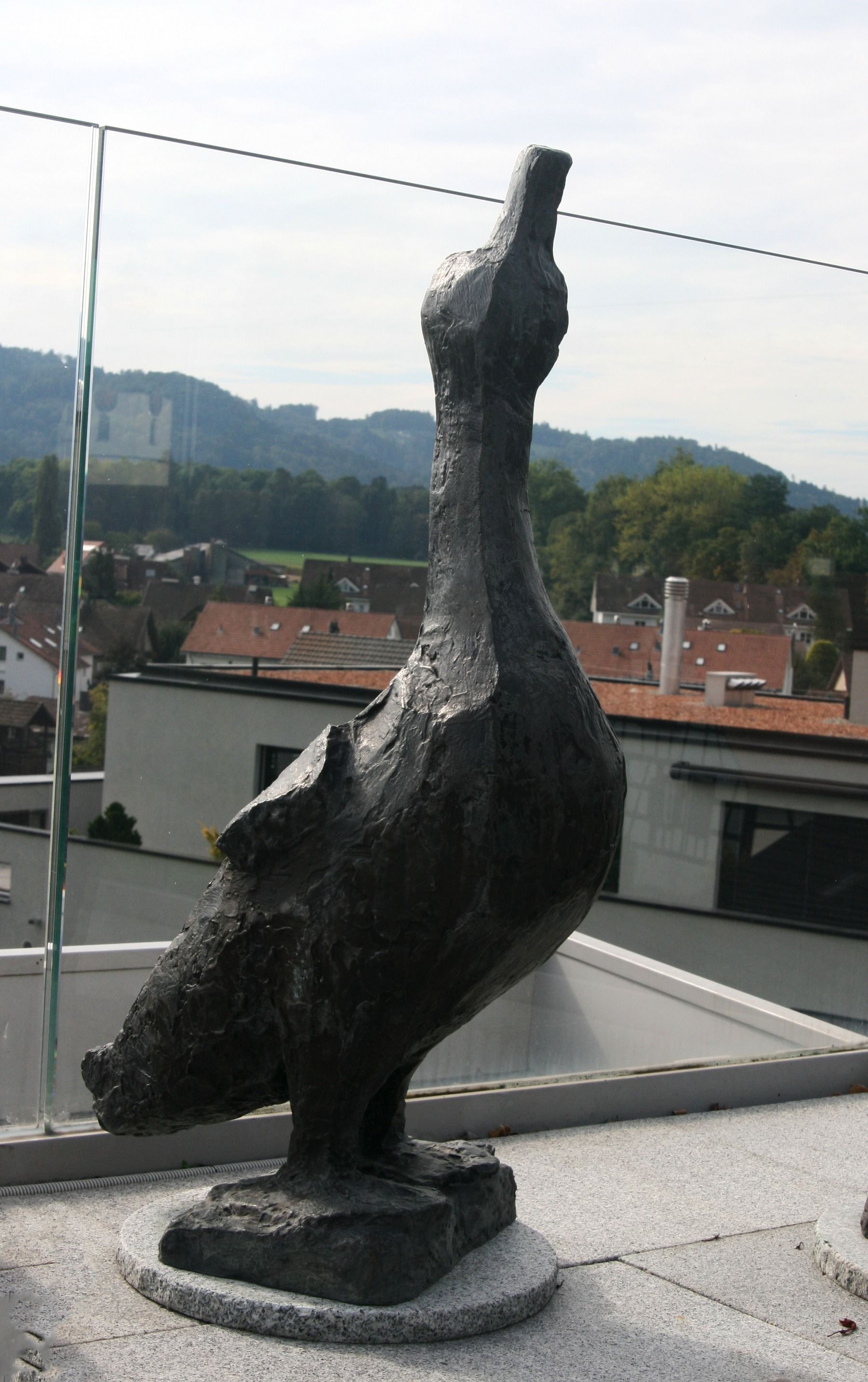 Gans – More views 5