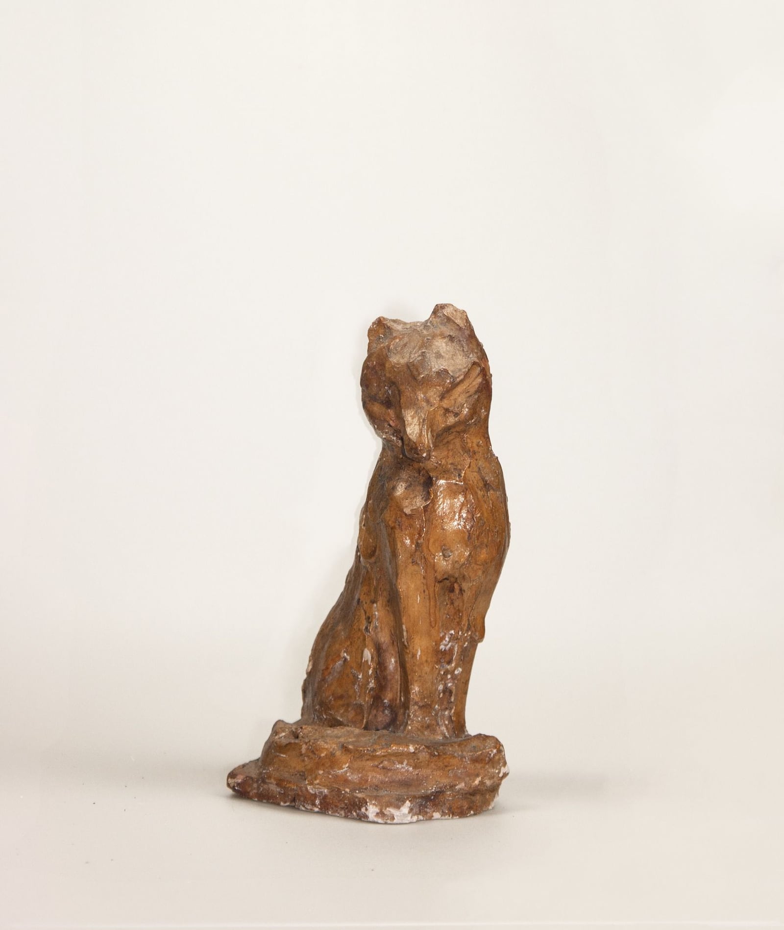 Sitzender Fuchs – More views 1