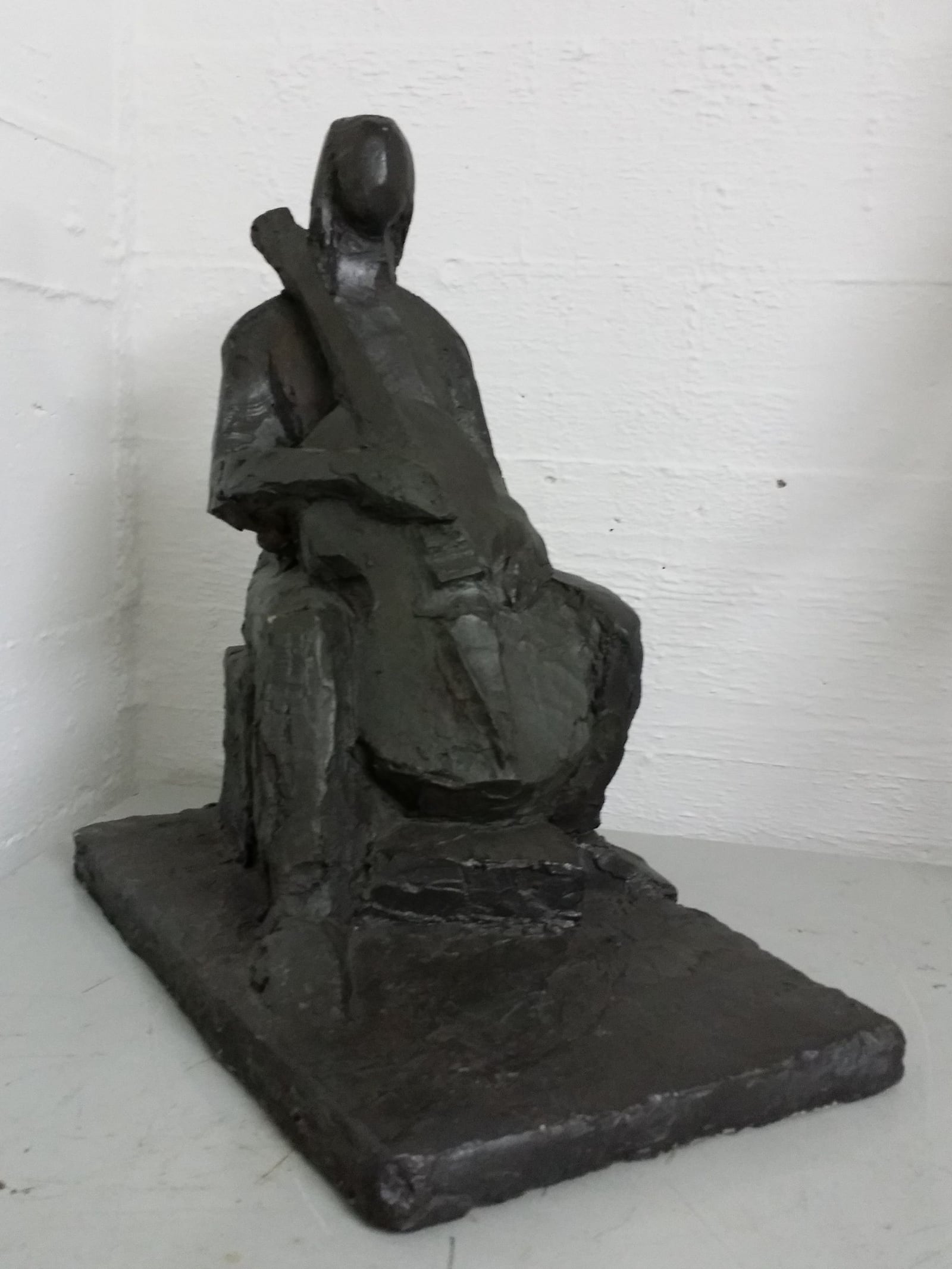 Cellistin – More views 2