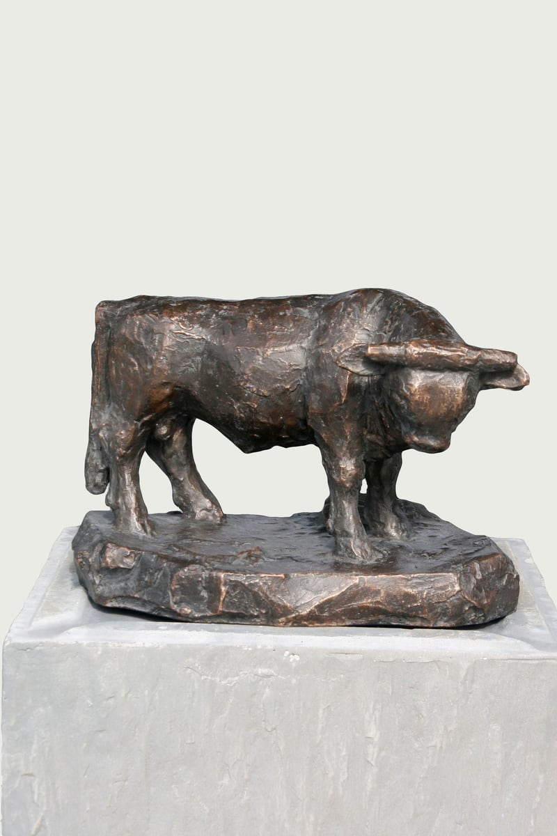 Stier