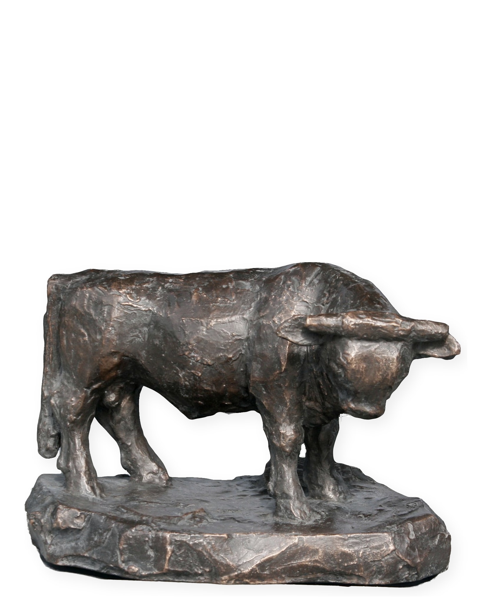 Stier – More views 1